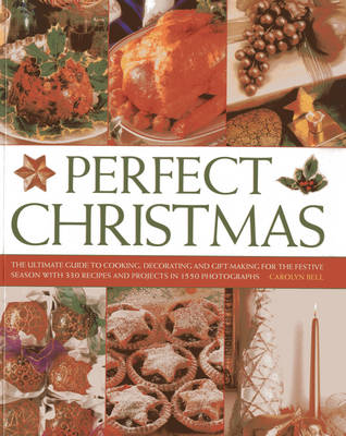 Perfect Christmas (Paperback)