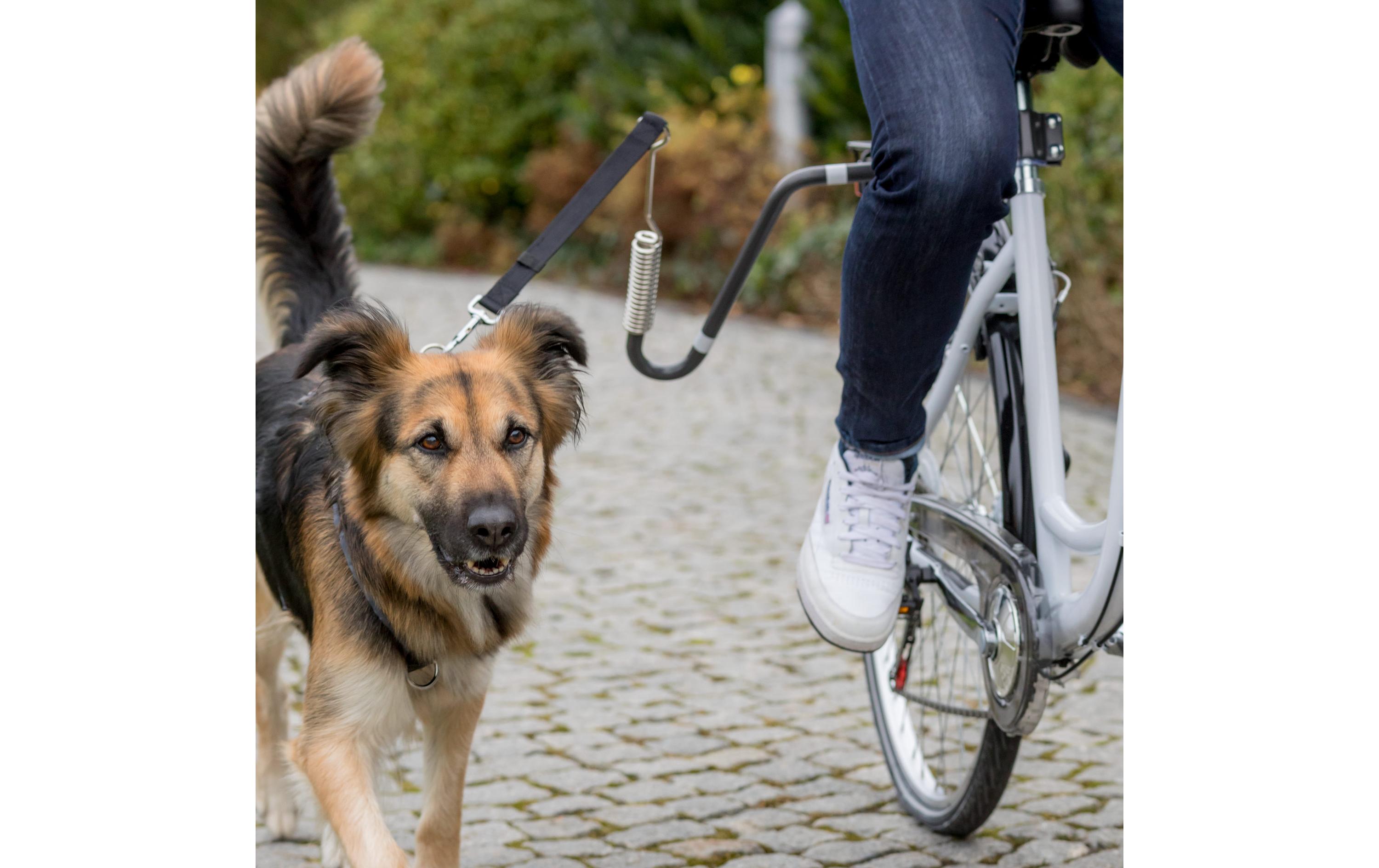 Biker-Set U-Form, M-XLFahrradstange mit reflektierende Elemente