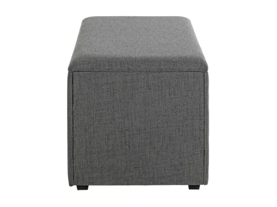 Coffre de Rangement Design 