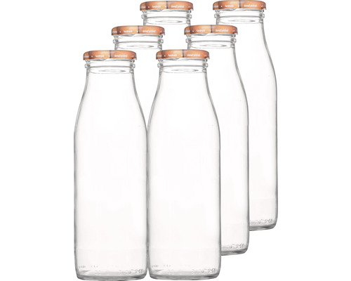 Vruchtensapfles, voorraadfles incl. draaidop, fruit, 500 ml, 6 st.