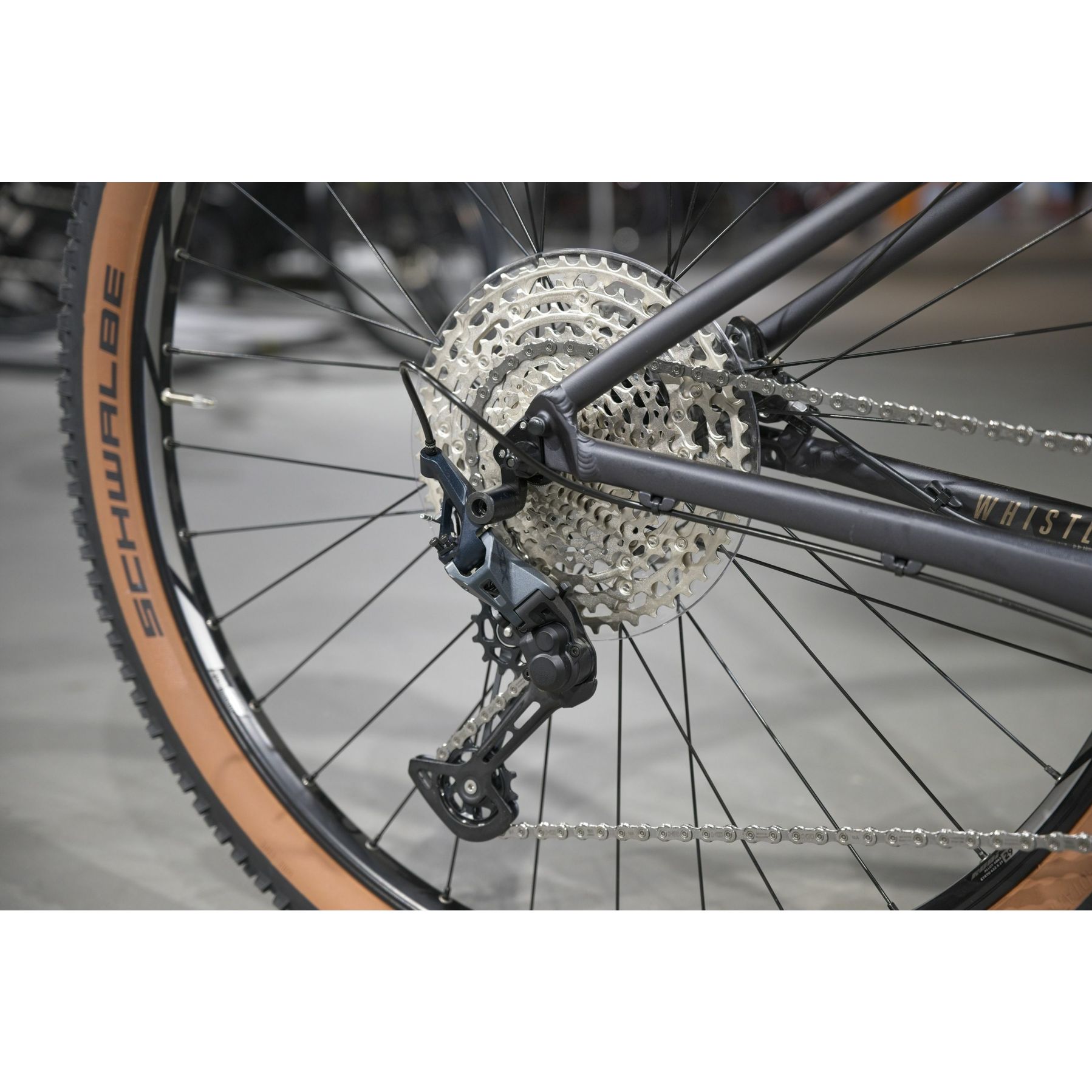 Focus Whistler 3.9 2025