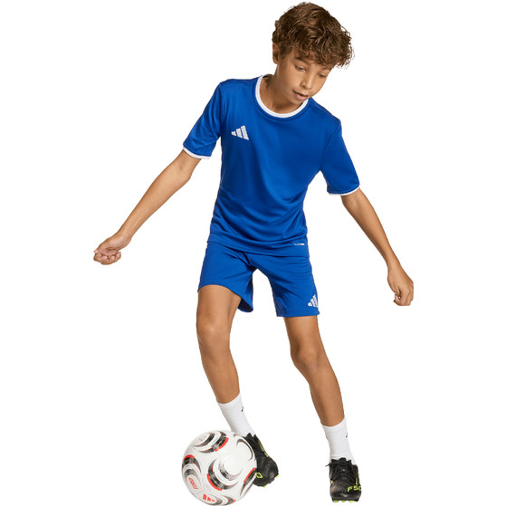 adidas Entrada 26 Trainingsset Kids