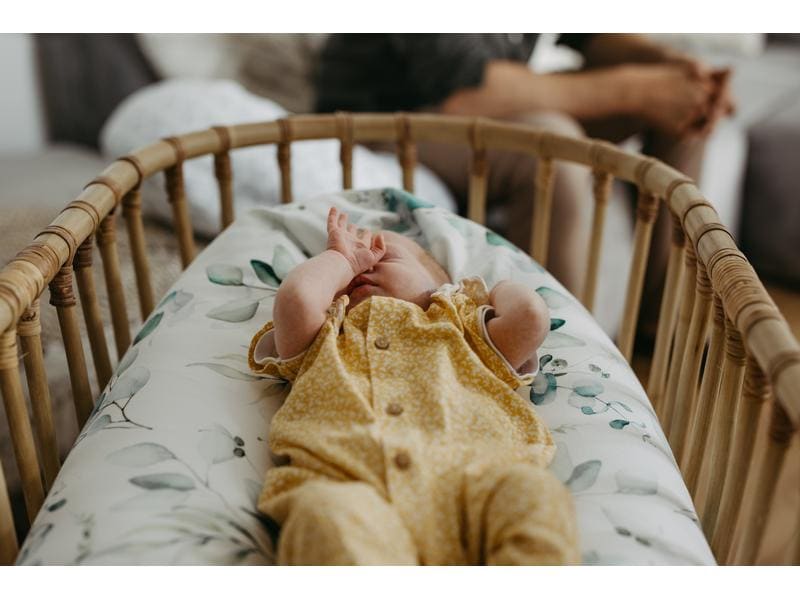 Rotho Babydesign Stillkissen Multi Natural Leaves Multifunktionelles Stillkissen