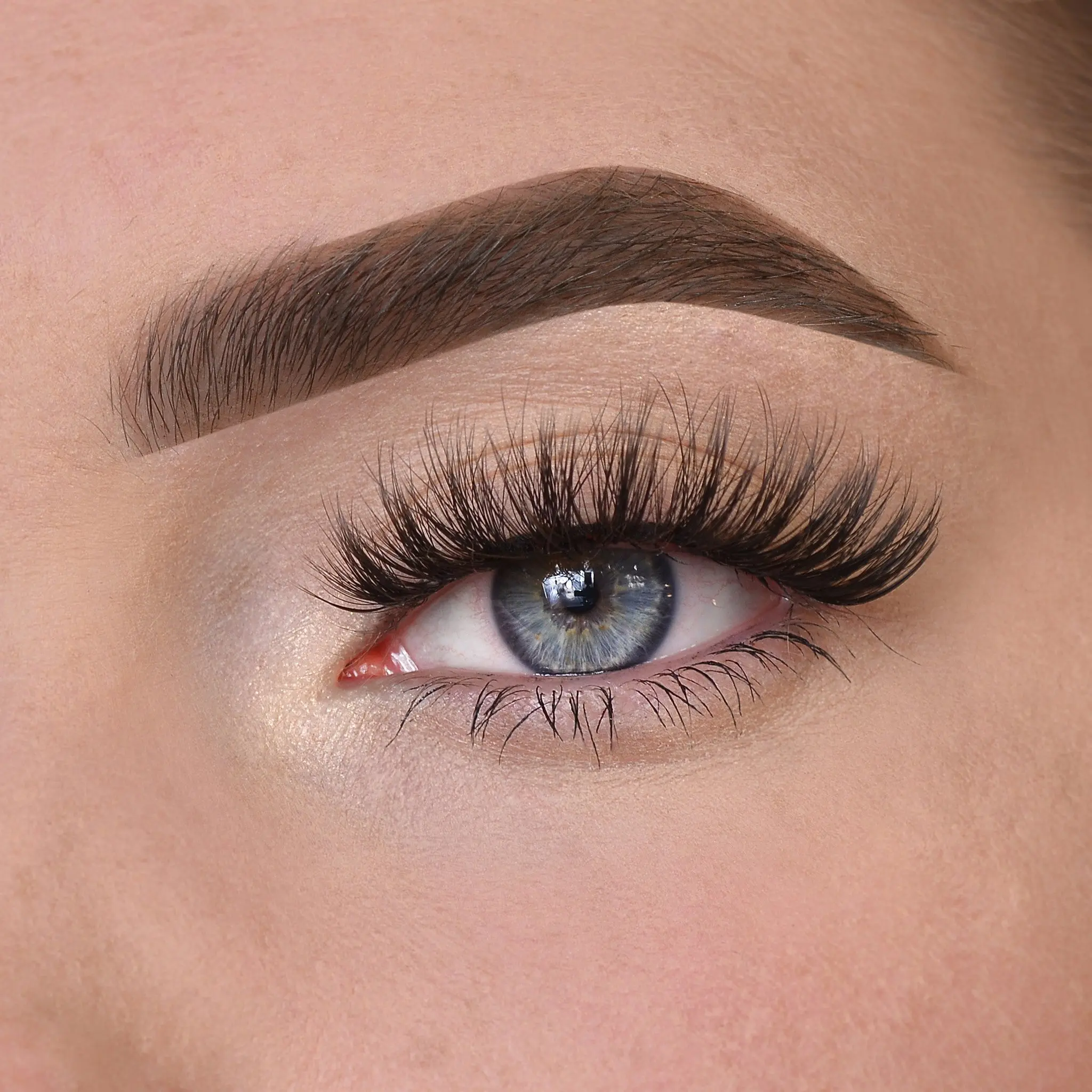 Bella Lashes
