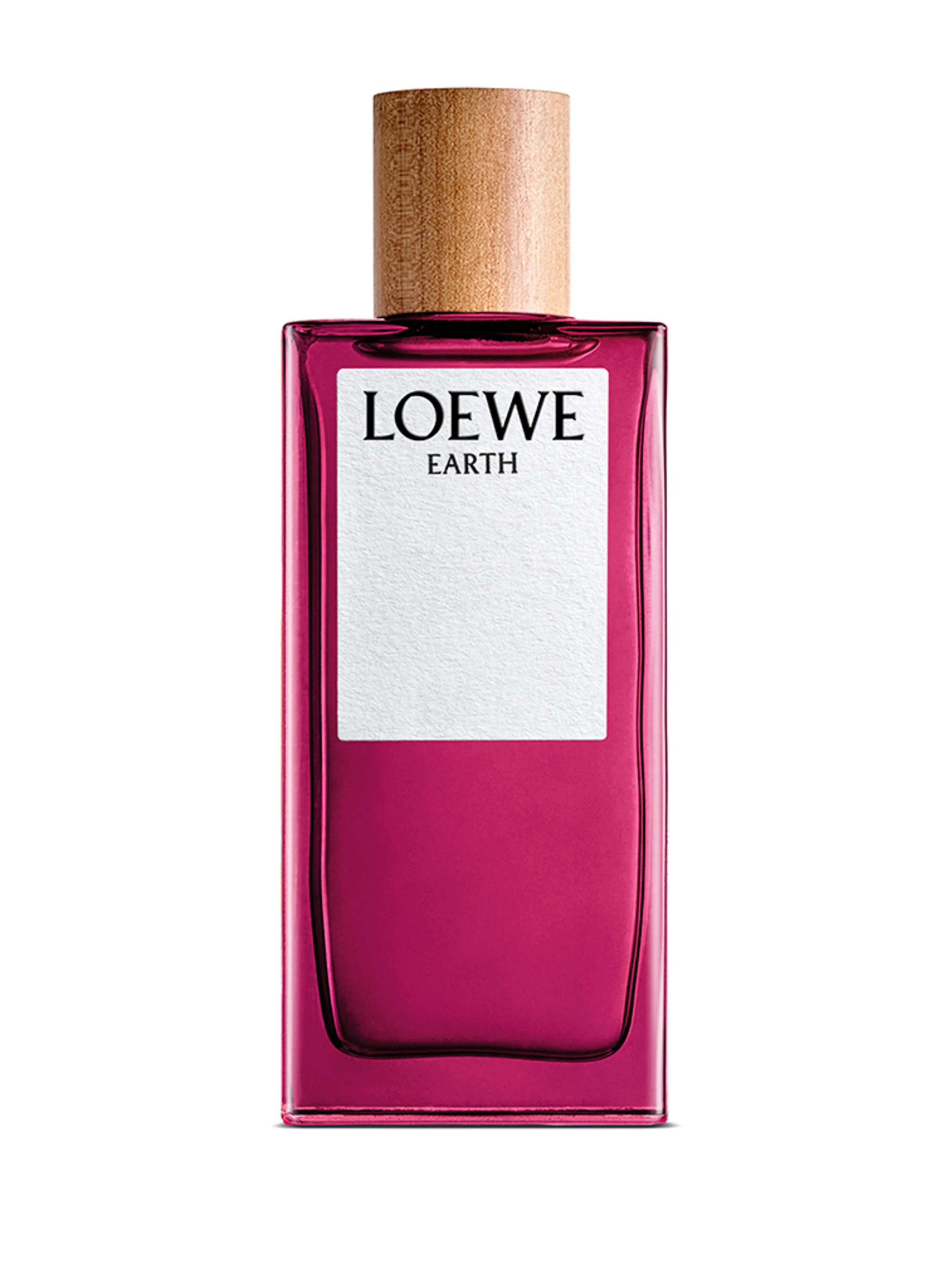 LOEWE EARTH