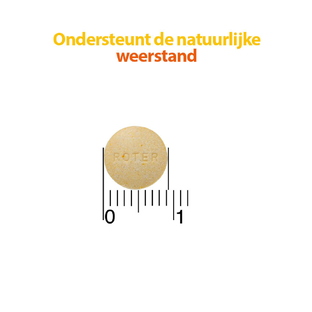 Roter Vitamine C 70mg Suikervrij Tabletten 300TB