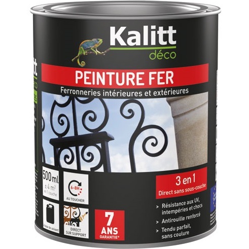 Peinture fer  3 en 1 intérieur et extérieur 0,5 L Brillant - Noir