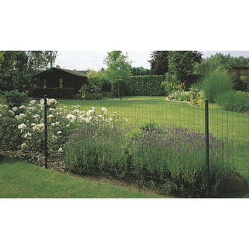 Betafence Pantanet tuingaas Family 203 cmx25 m groen