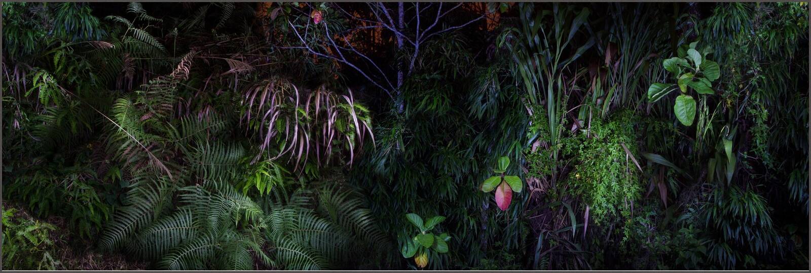 Eden I. by Katalin Vasali - Limited Edition. Edition of: 150. Signed.