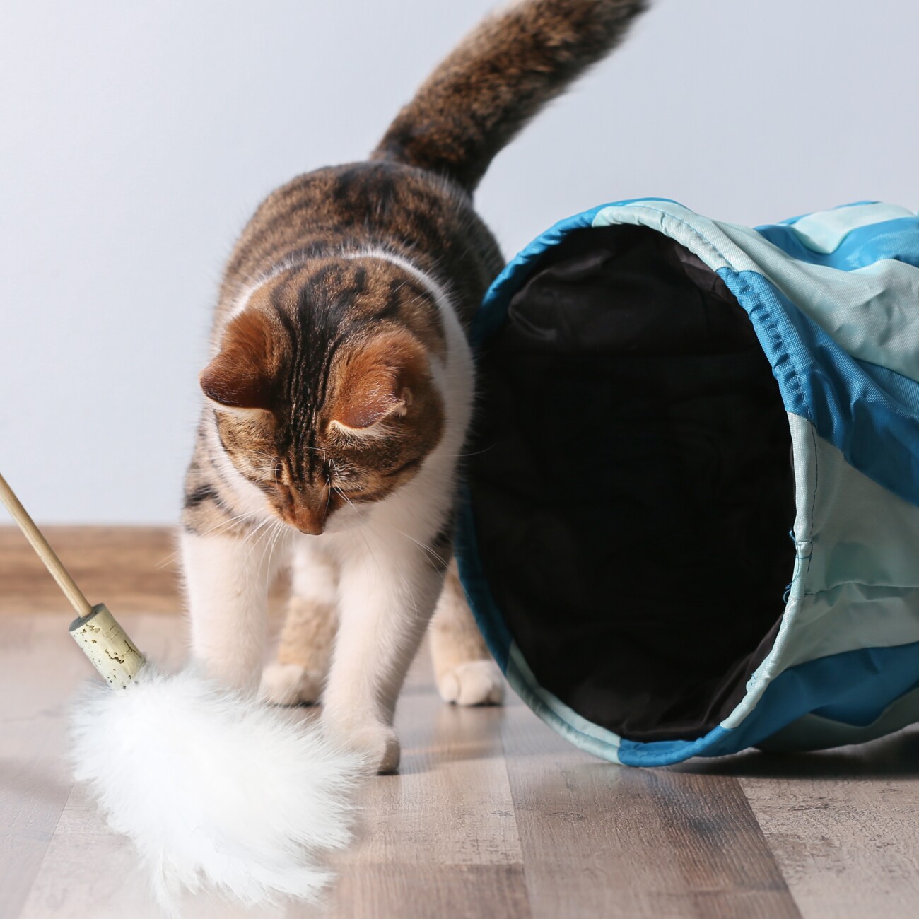 Kater Kasimir Katzenspielzeug-Set mit 7 beliebten Katzenspielzeugen aus Naturmaterial