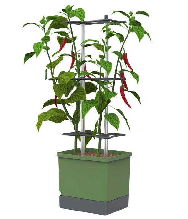 Gusta Garden Chili-Pflanztopf Charly Chili XL,