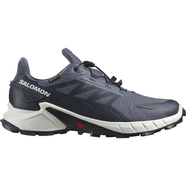 Chaussure trail SALOMON SUPERCROSS 4 GORE-TEX GRISAILLE/WHITE/CARBON