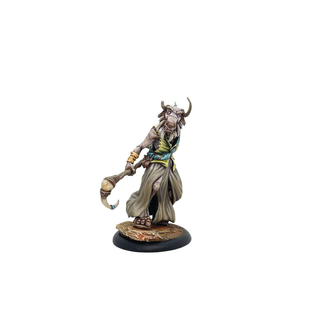 Khârn-Âges : Vieillard Shaman