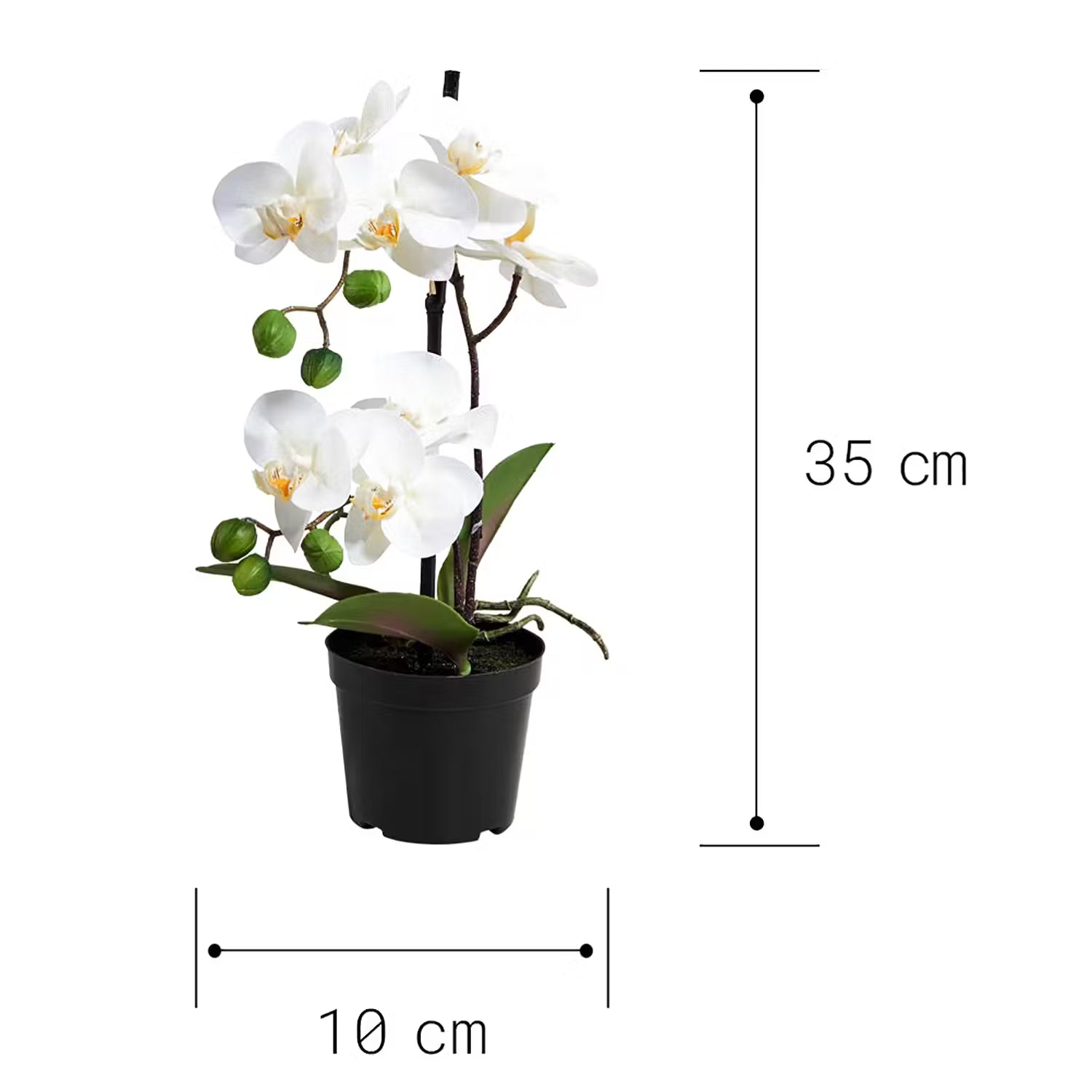 FLORISTA Kunstpflanze Orchidee 4er-Set