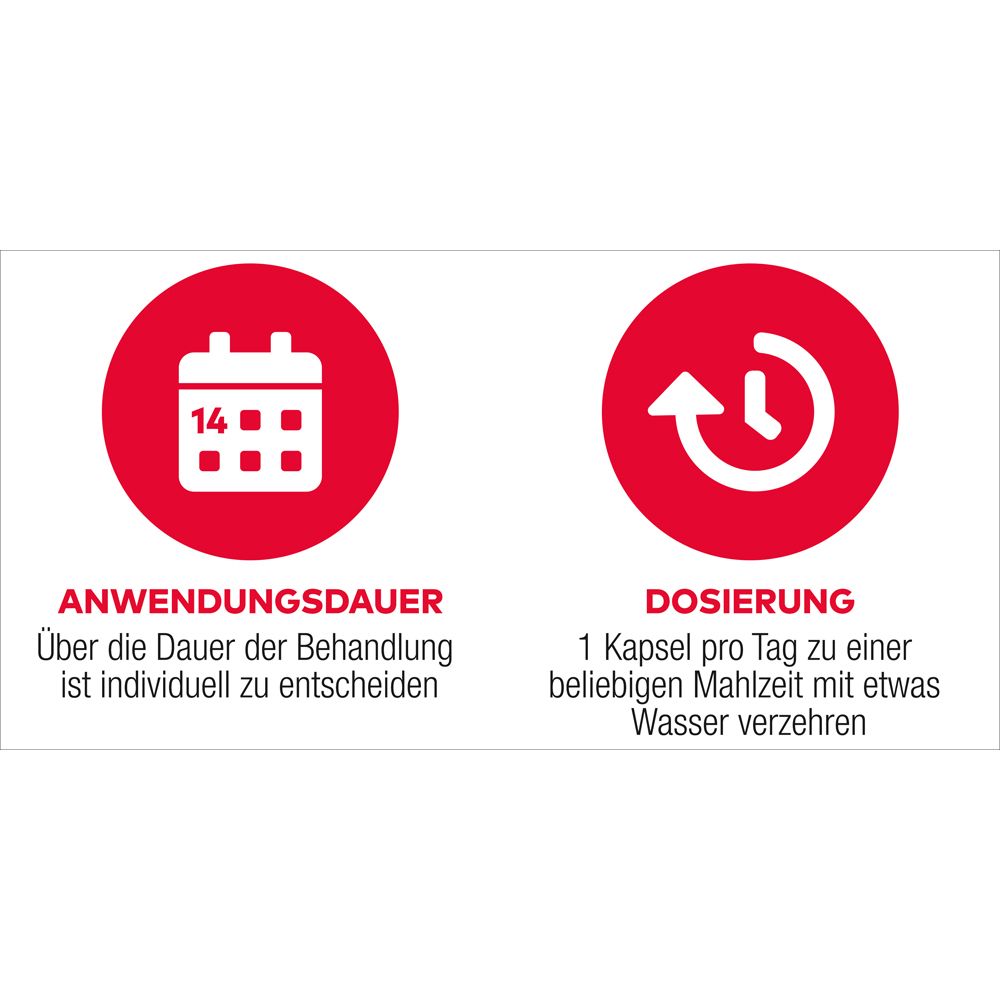 D3 + K2  Vit AL 4000 I.E. / 80 µg Kapseln: ein starkes Duo für die Knochen