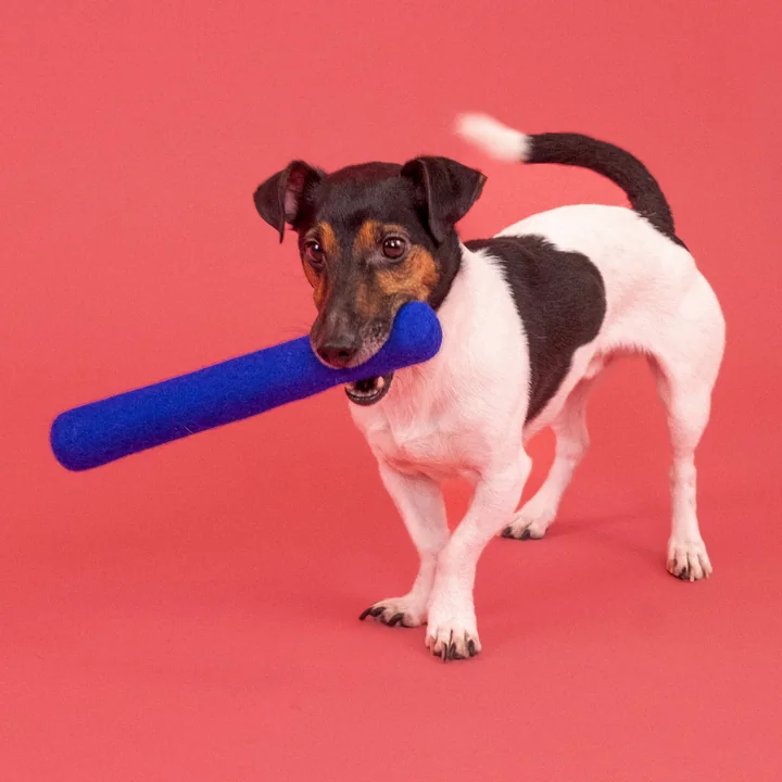 myfelt - Isa Hundespielzeug, Ring, royalblau
