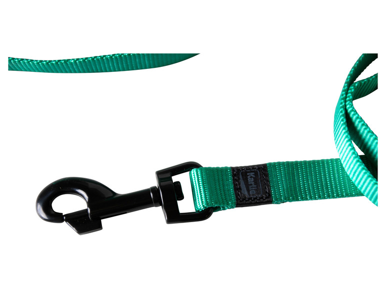 Halsband met lijn
