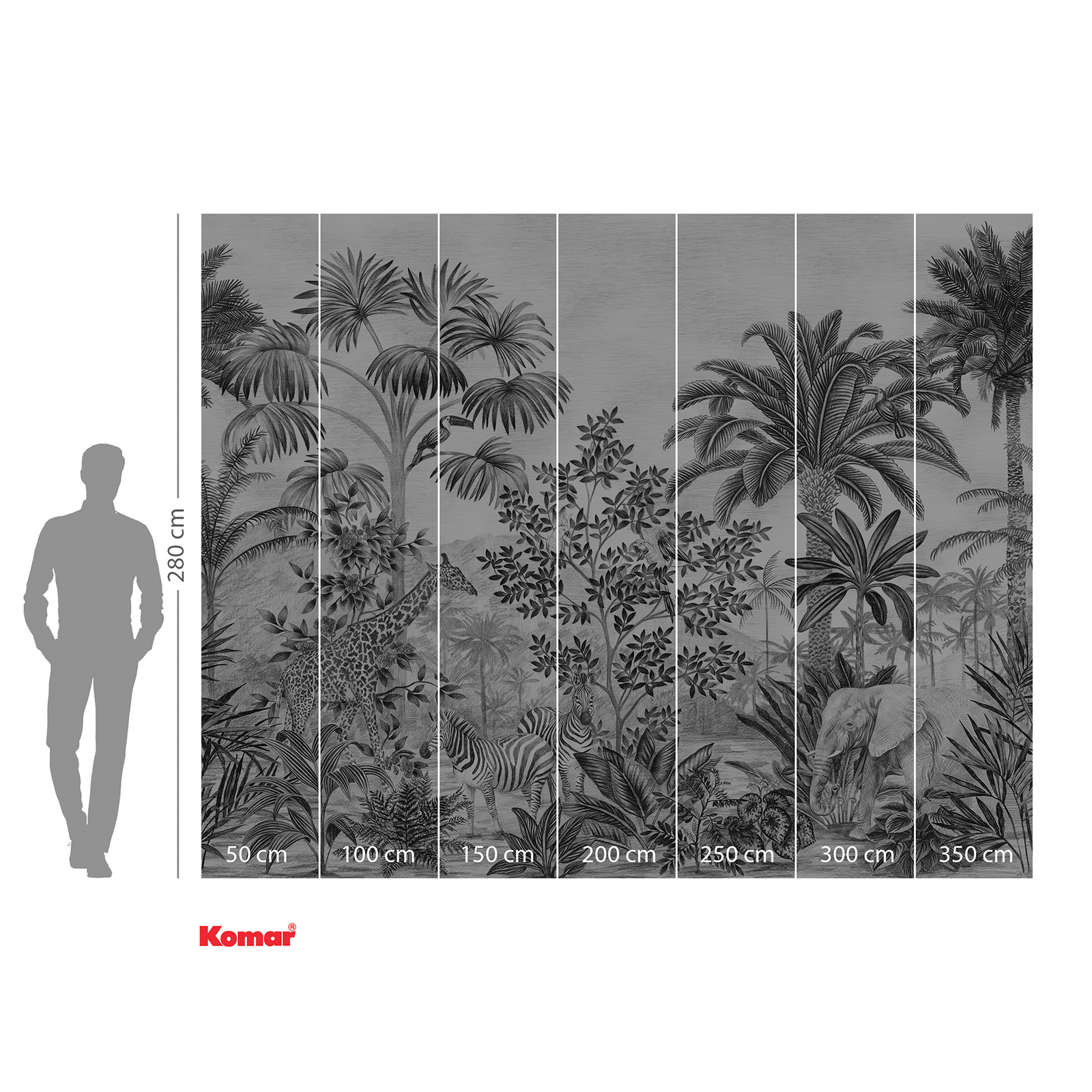 Vlies-Fototapete JUNGLE EVOLUTION - schwarz-weiß - 350x280 cm