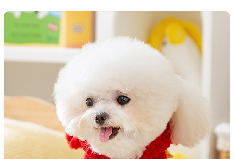 2 nachten - Dragon Chenille Hooded Pet Top