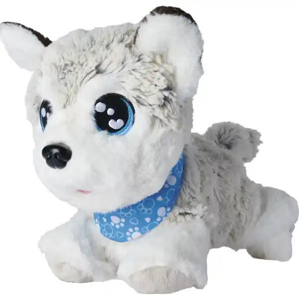 CCL Happy Husky