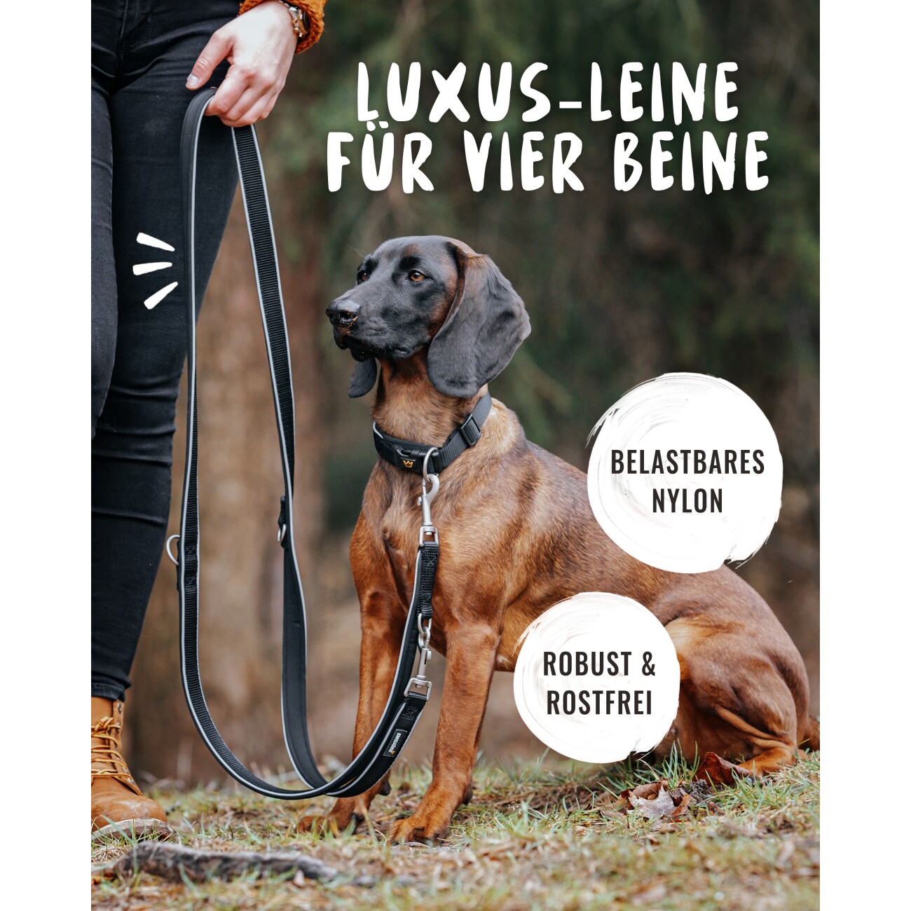 Rudelkönig Hundeleine - Führleine Paola schwarz/ silber