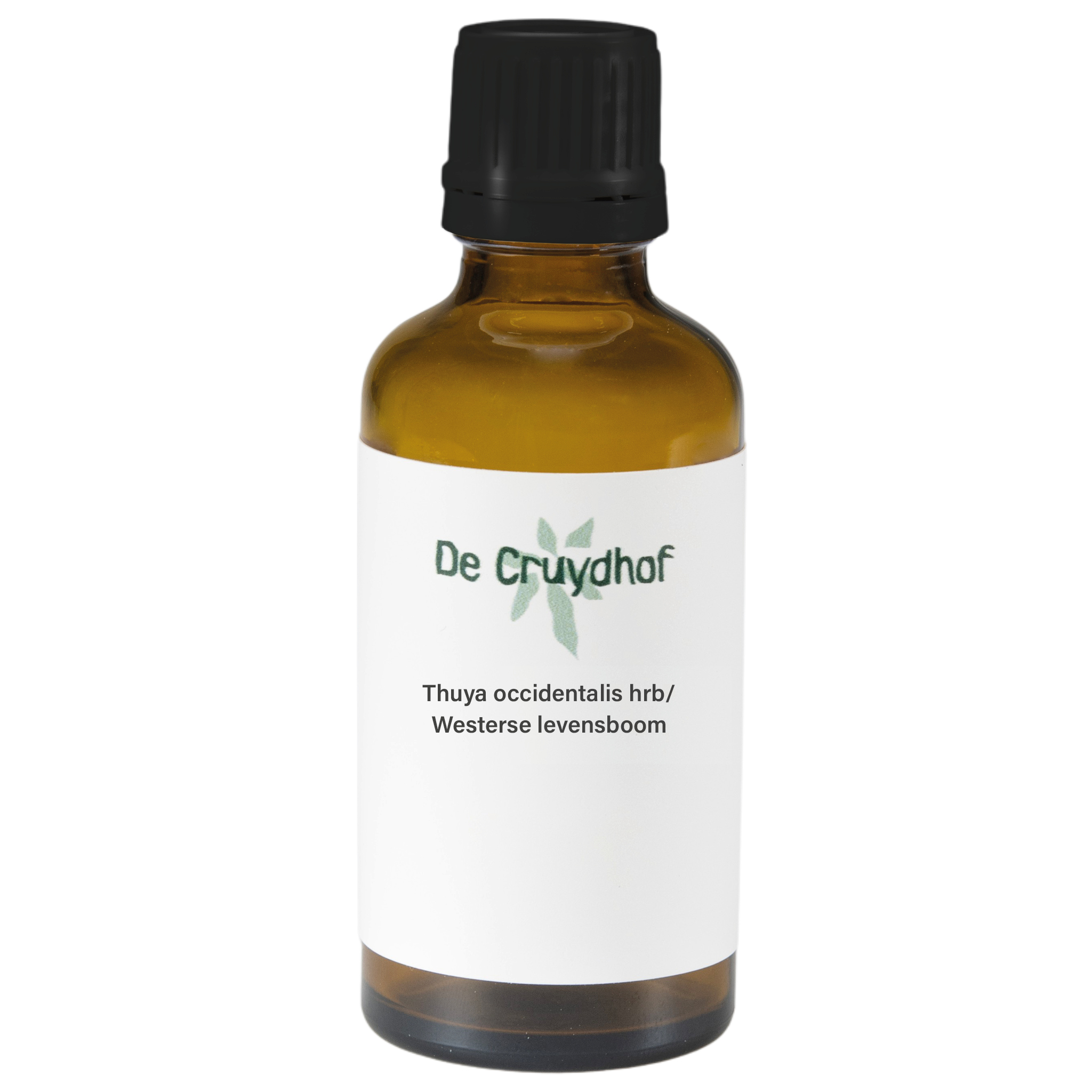 De Cruydhof Thuja occidentalis / levensboom tinctuur (50 ml)