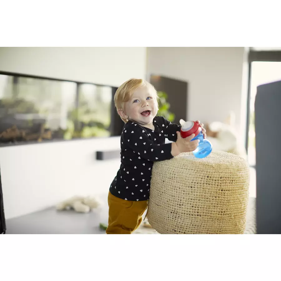 Philips Avent Schnabelbecher SCF80201 300 ml blaurot ab dem 9. Monat