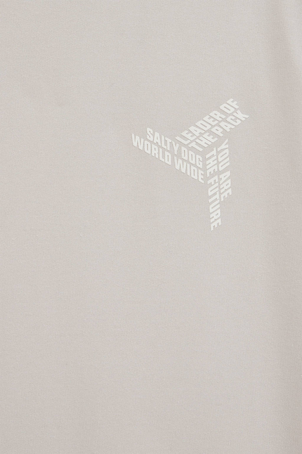 Salty Dog T-shirt met printopdruk beige