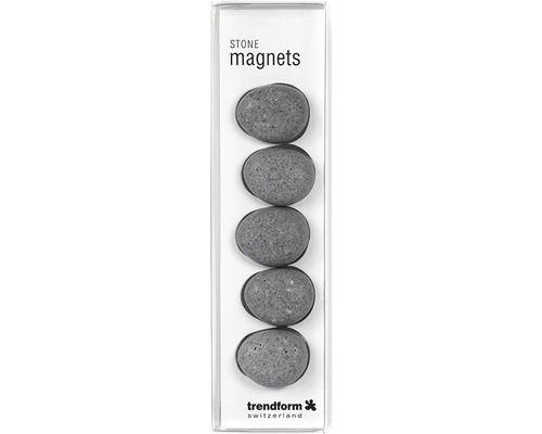 Decoratieve magneten, steenmotief, set van 5, grijs