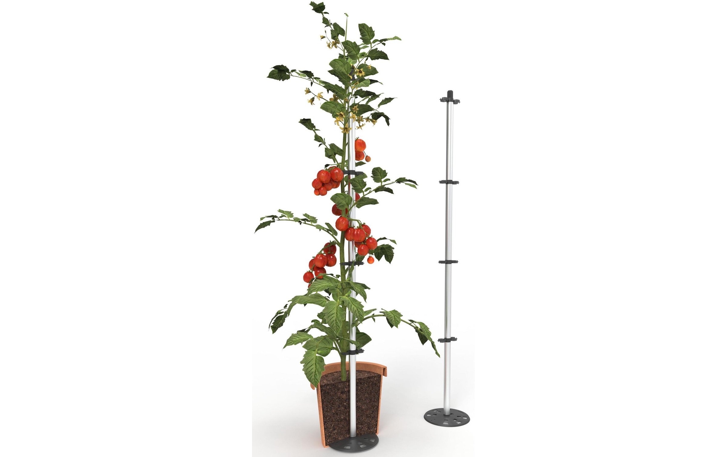 Gusta Garden Pflanzkübel »TOMATO BUDD«