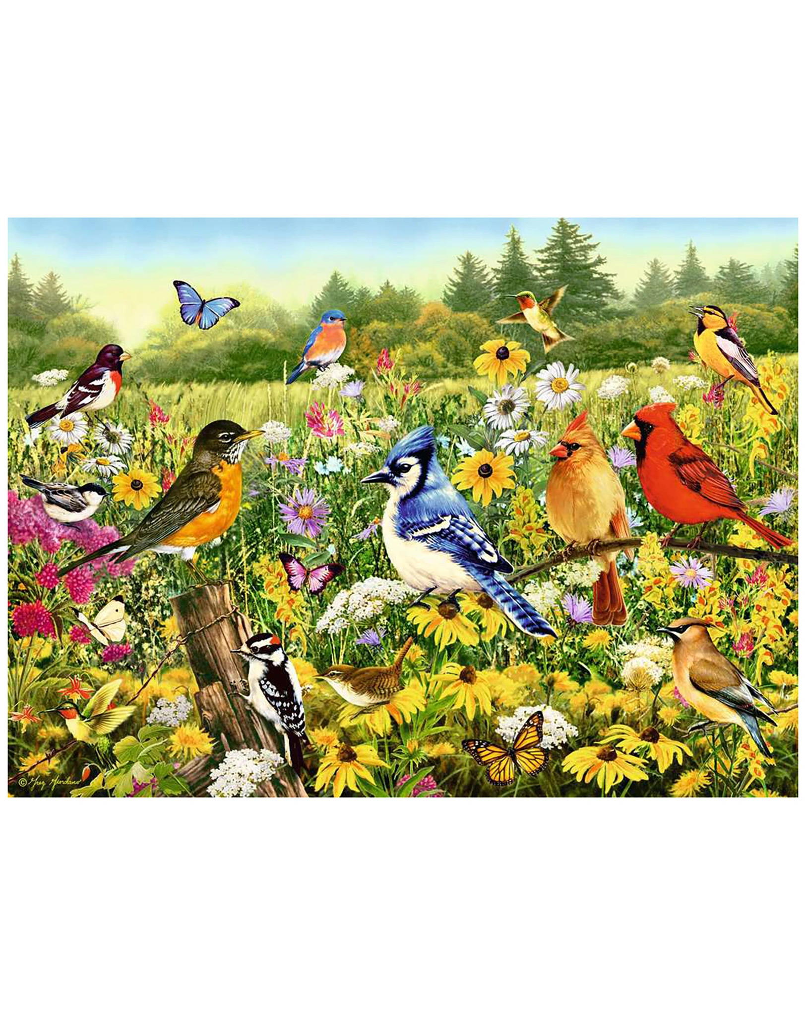 Puzzle VOGELWIESE 500-teilig