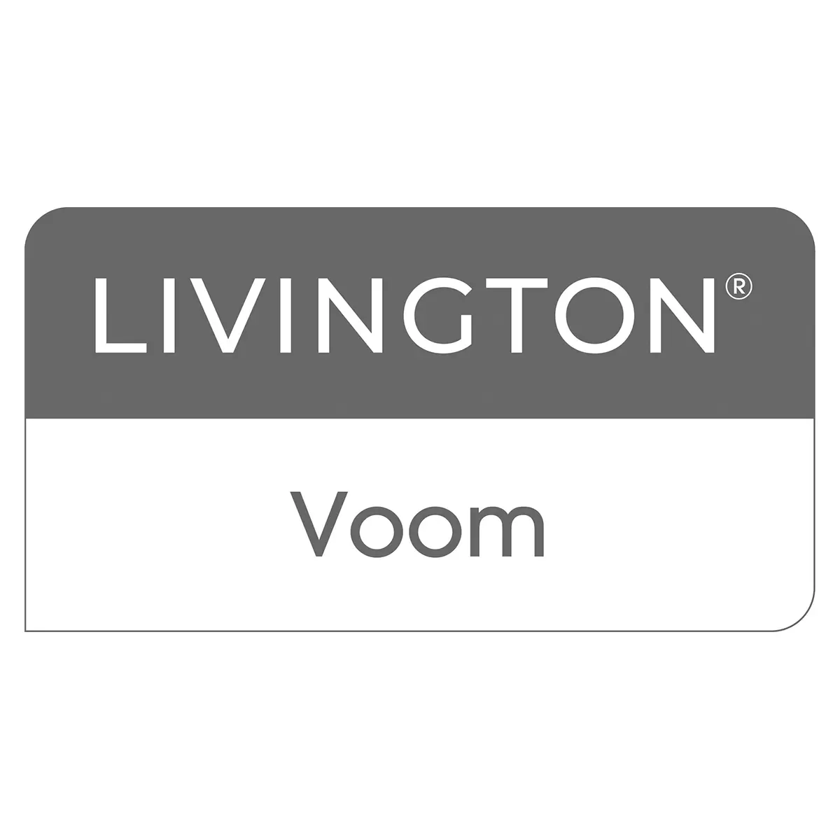 Akku-Besen Livington VOOM rot,silber