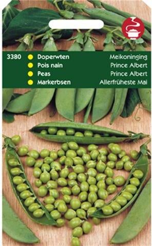 groentezaad Doperwt type 1E (Pisum sativum 'Meikoningin')