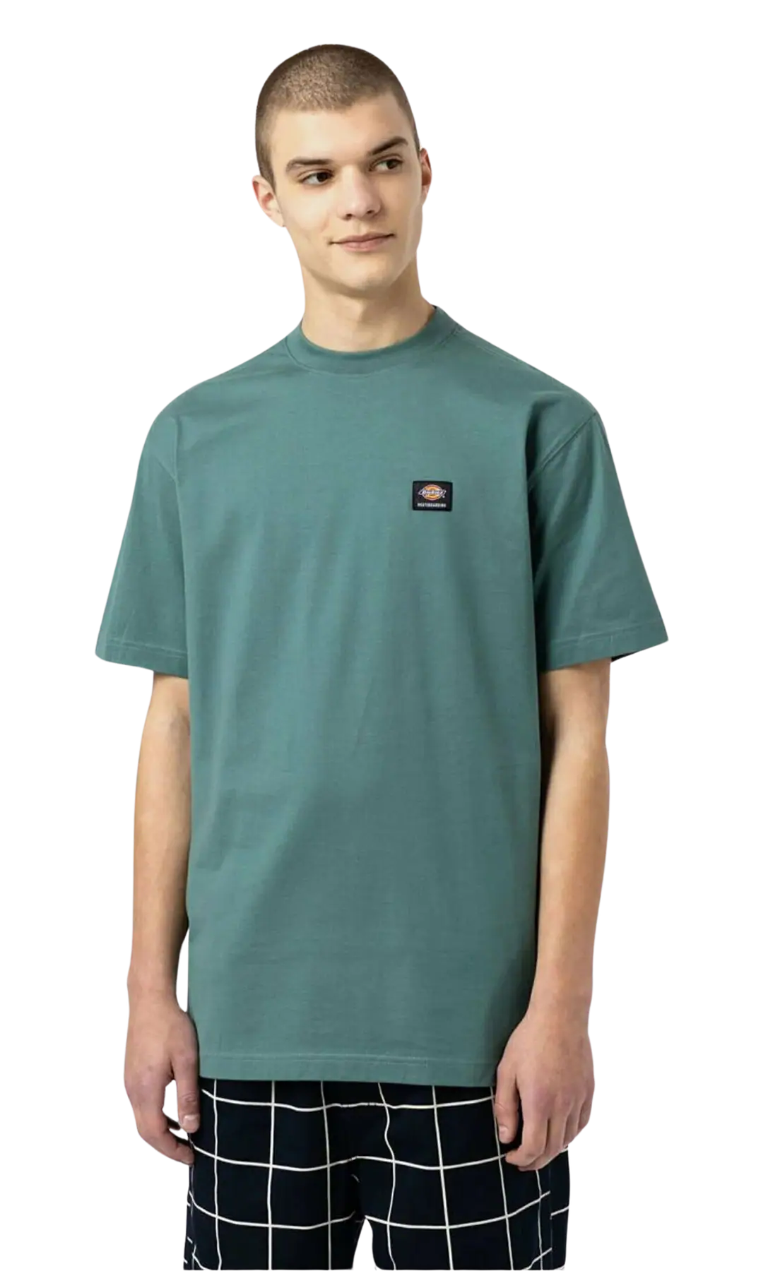 Dickies Mount Vista T-Shirt | SkatePro