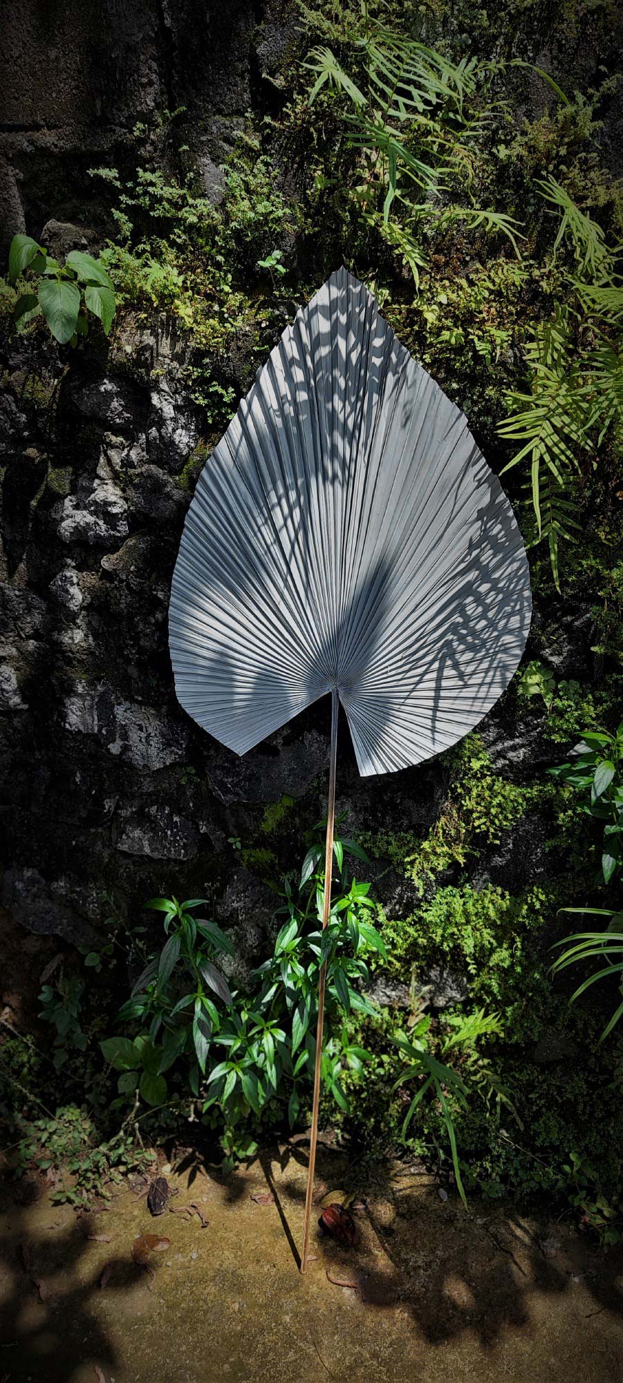 Palmenblatt grau, H 120 cm, B 40 cm von fischer's lagerhaus