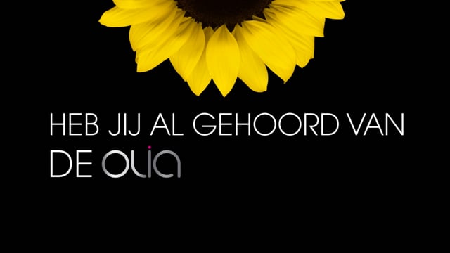 Garnier Olia 4.0 Bruin 1ST