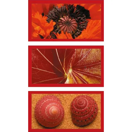 Ravensburger Puzzle Naturimpressionen in Rot, 500 Teile
