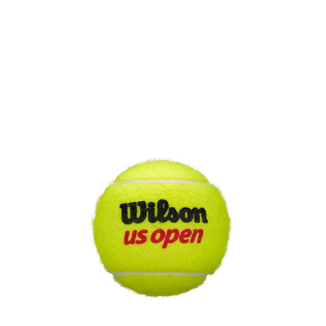 US Open Extra Duty Dose mit 4 Bällen