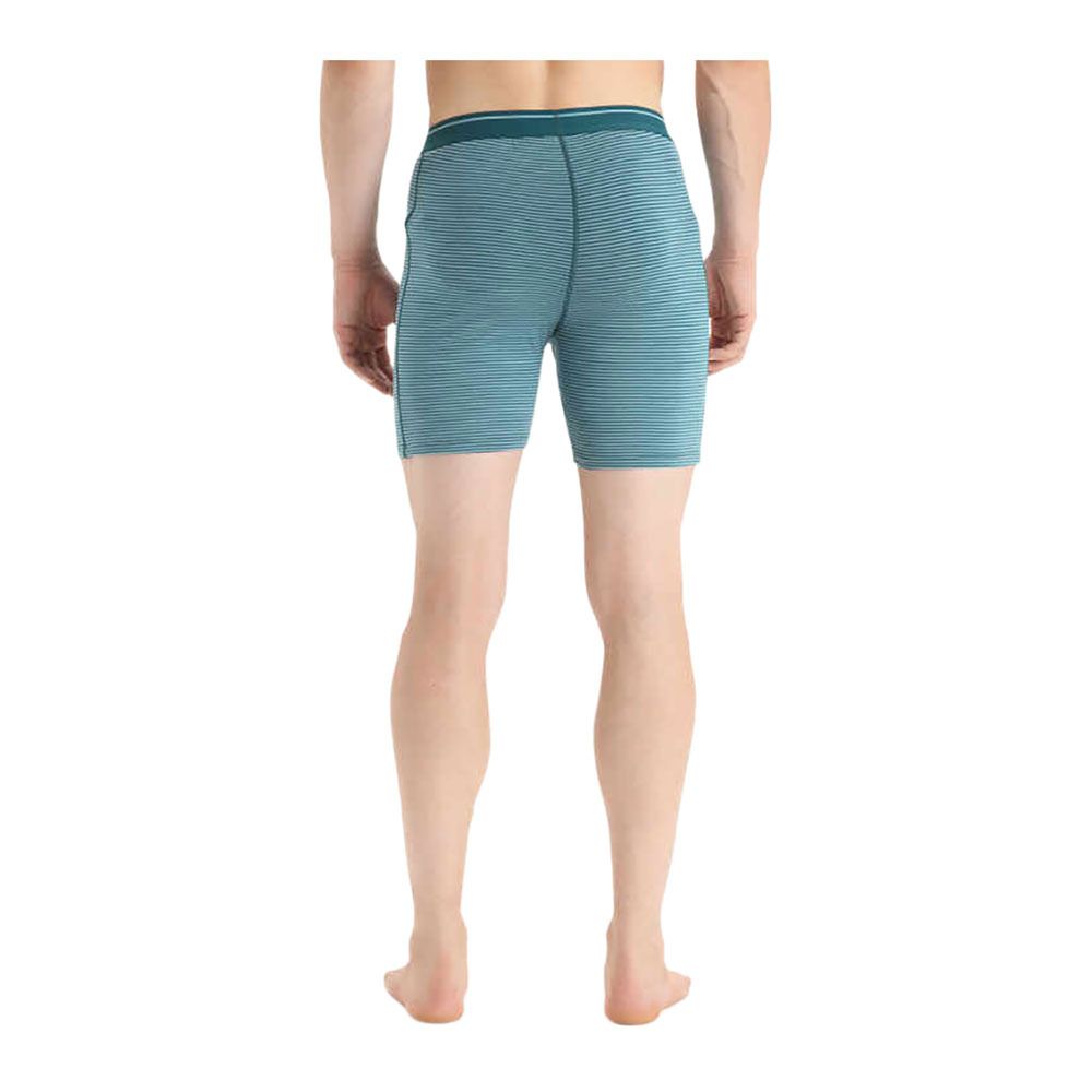 Icebreaker ANATOMICA LONG - Boxer Homme grnglr/astblu/s