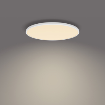Philips plafonnière Ozziet wit 1x36W