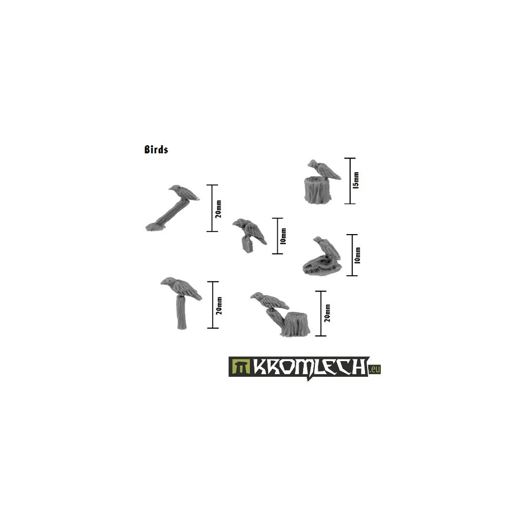 Birds