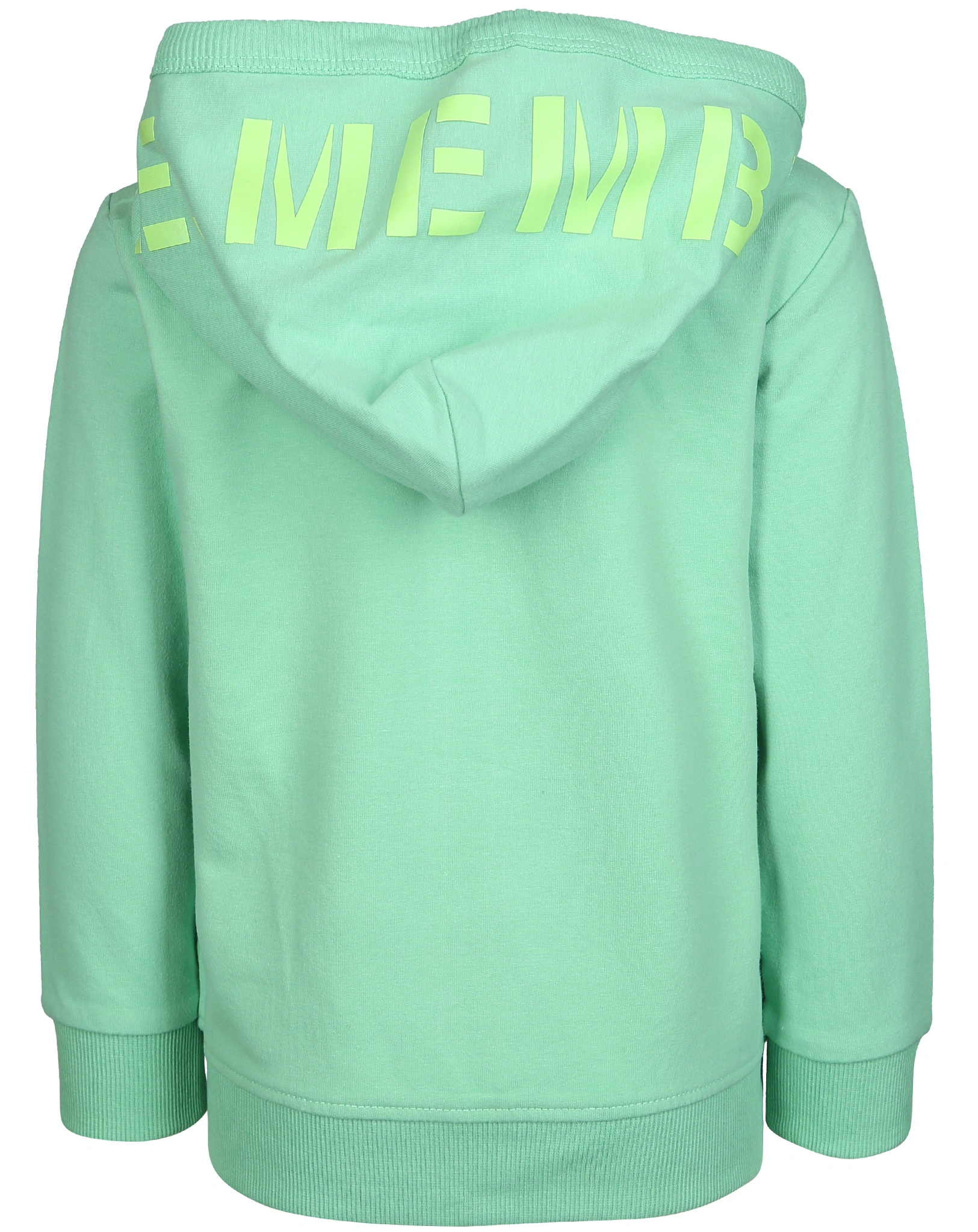 Kapuzen-Sweatjacke ELA SAURS in jade green
