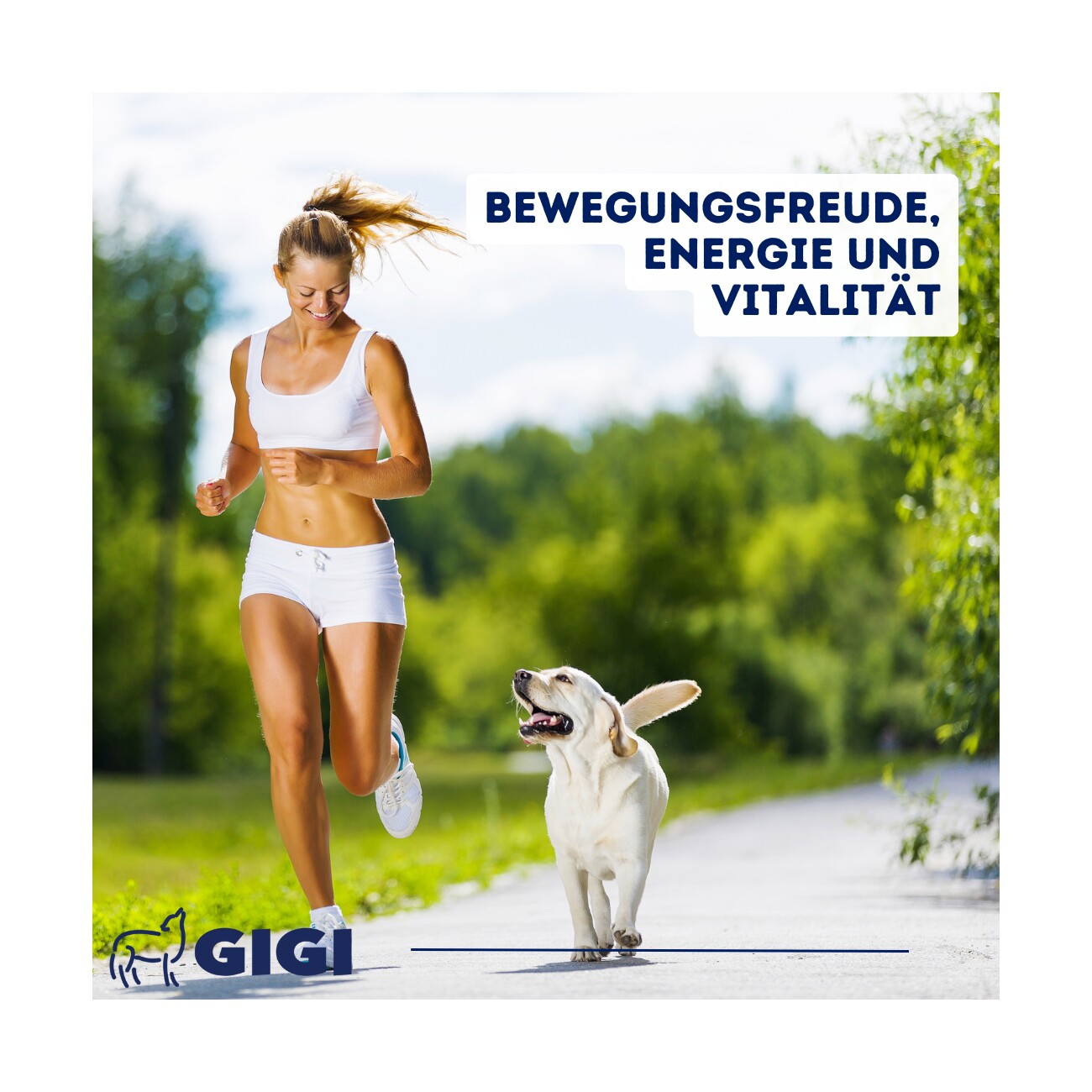 GIGI VET Hunde Gelenke & Knochen 30 Stück