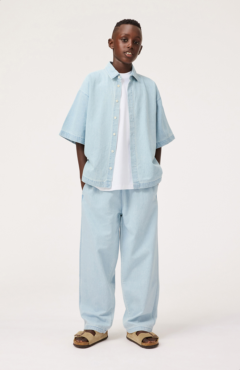 Aster - Misty Denim
