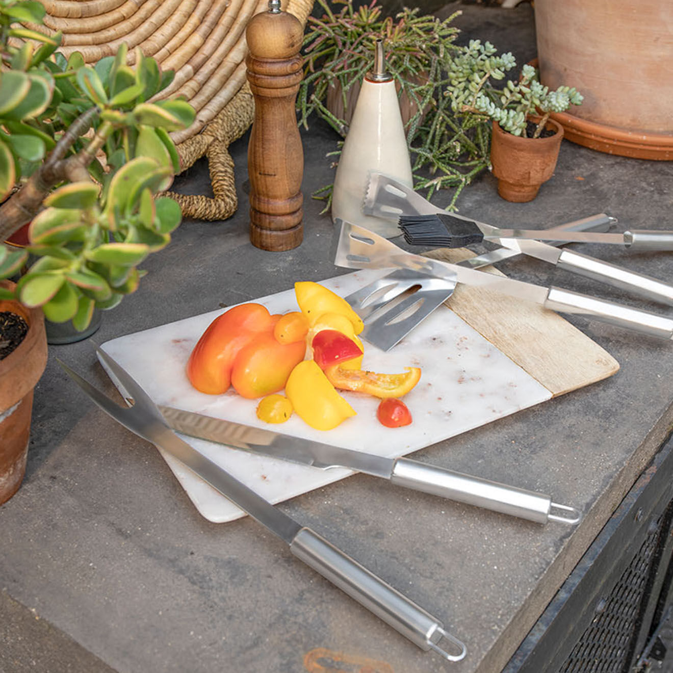 Livoo Set de 5 accessoires pour barbecue argenté