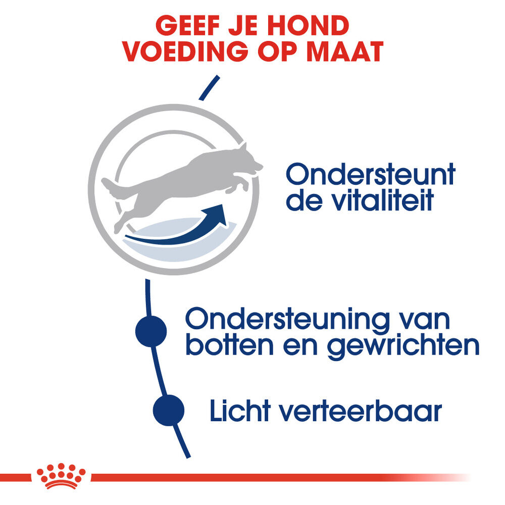 Royal Canin SHN Maxi Adult 5  - Hondenvoer - 15 Kilogram - gevogelte