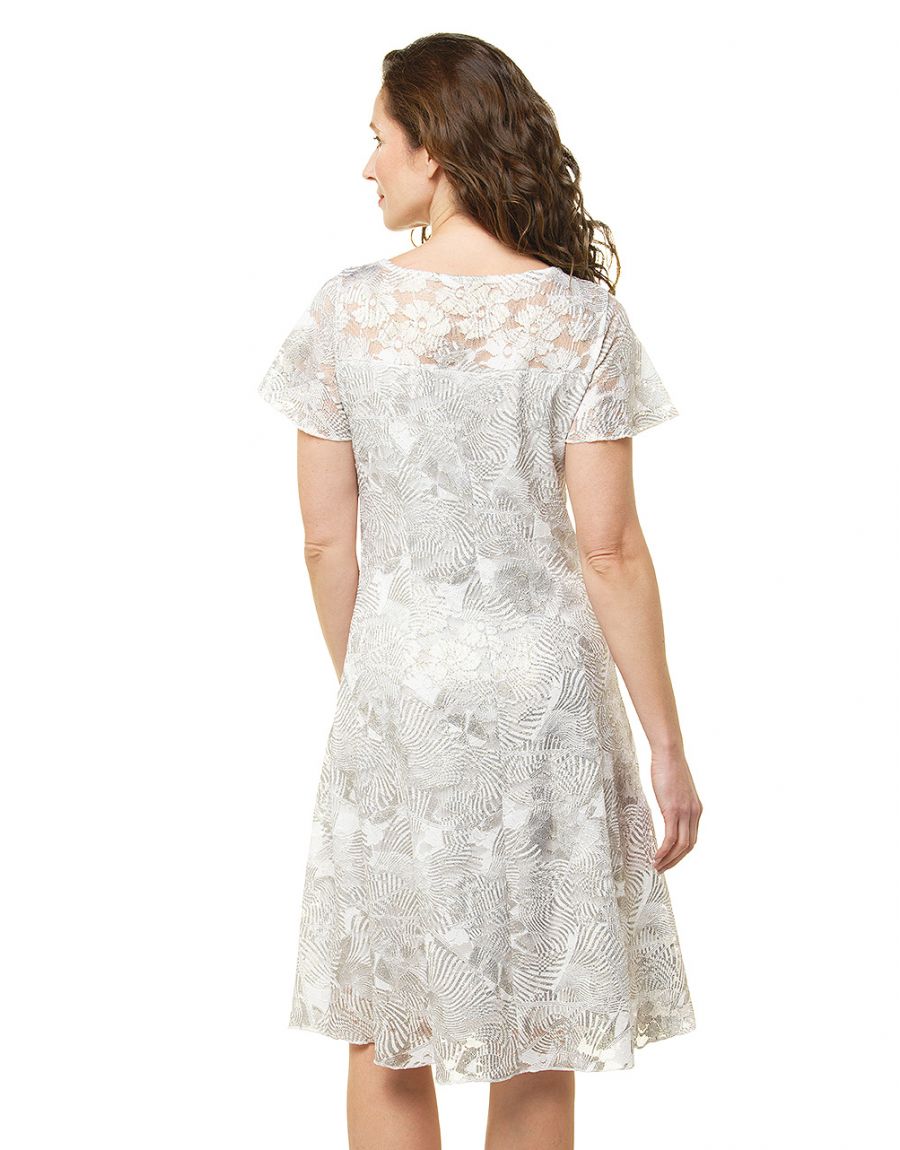 Robe dentelle argentée