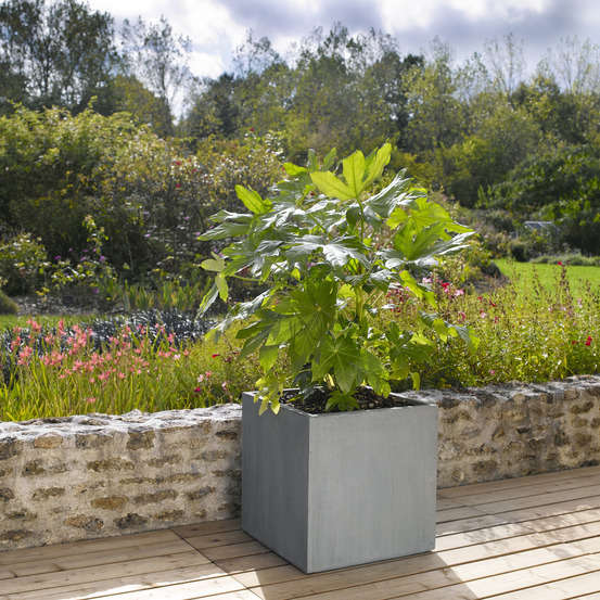 Cube Jin, gris ciment L. 50 x l. 50 x H. 50 cm