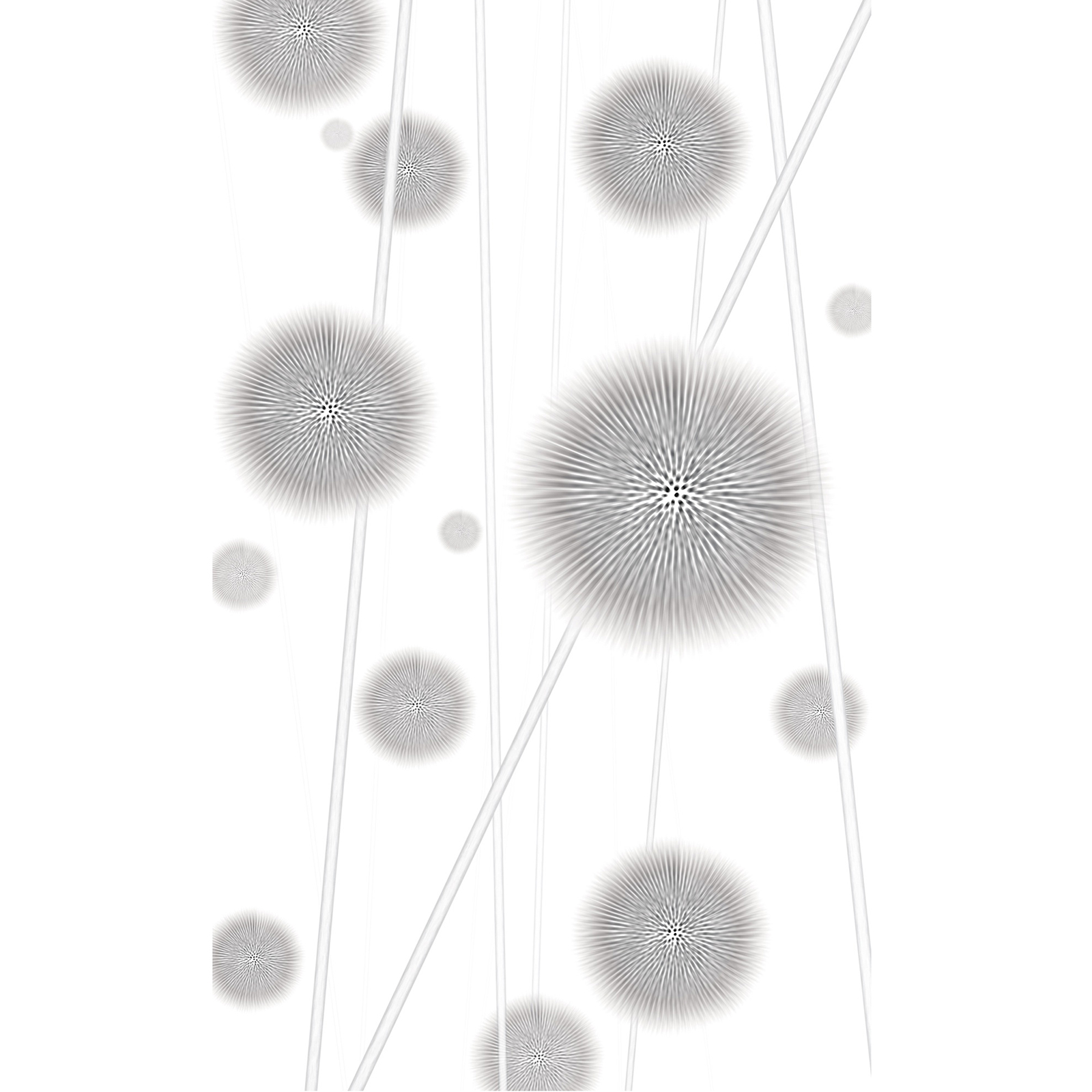 Vlies-Fototapete ALLIUM - grau-weiß - 150x250 cm