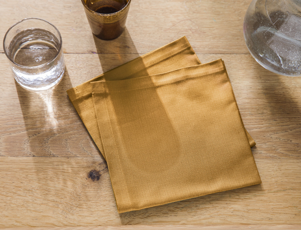 Lot de 2 serviettes de table-Farandole